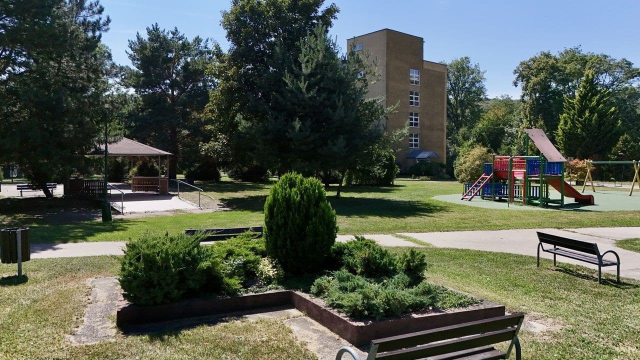 Starostlivosť so srdcom